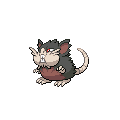 Alolan Raticate
